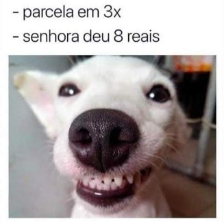 _CasadoCarioca