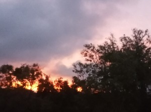 Crisgaucha34