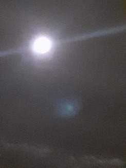 Da-lua