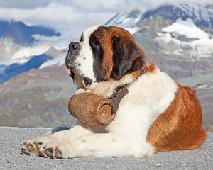 DaBoyWhoMurderedLove