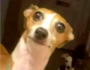 diegosolteiro