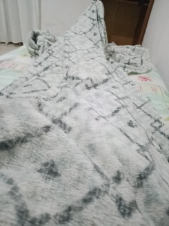 dinhosp