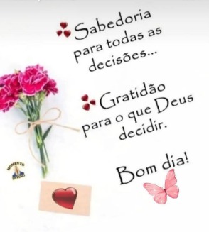Fernanda_SP
