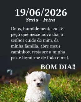 Fernanda_SP