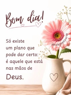 Fernanda_SP