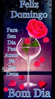 Fernanda_SP