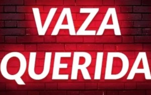 gataselvagem