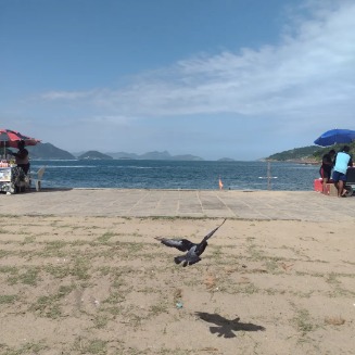 GordinhoDominador