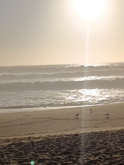 hnorte