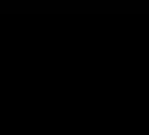 Julia_27