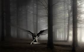 lost_angel