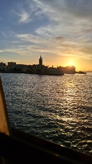MDelicada