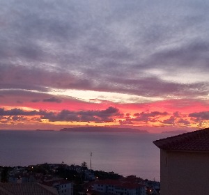 Milu