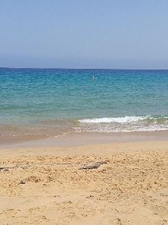 Milu
