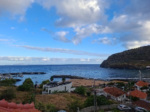 Milu
