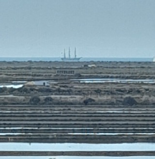 ParadiseV