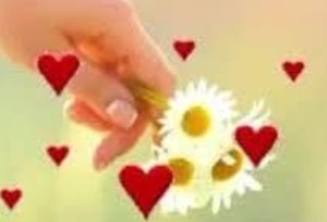pequena_flor