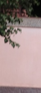 Safadoatv
