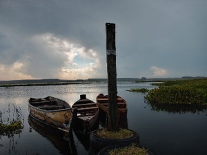 Saudade