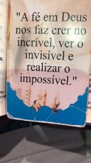Siilva18