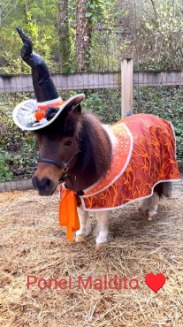 soundofsilence