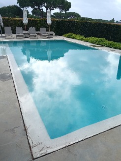 tony50
