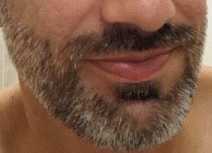 Trovador